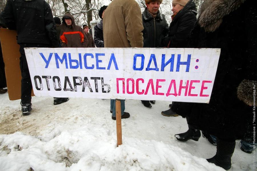 "Зеленые терминаторы": репортаж "Нового Калининграда.Ru"